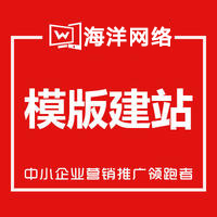 网站建设定制