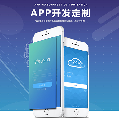 APP定制