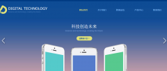 实现网站规划