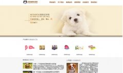什么是综合信息门户网站?